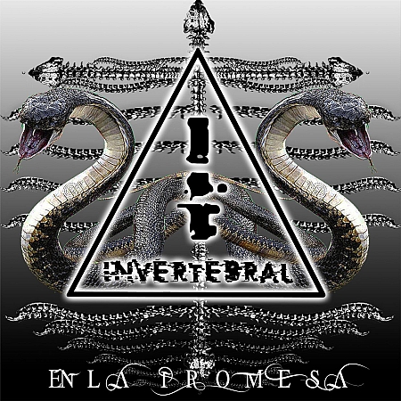 Foto de inverterbral