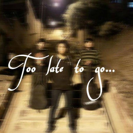 Too Late To Go 