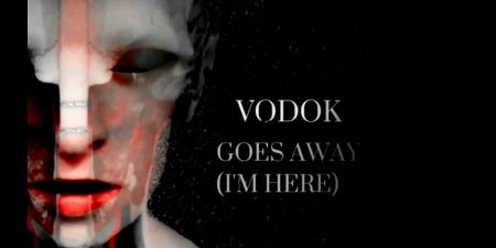 Vodok