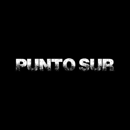 Punto sur