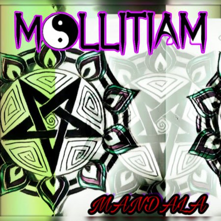 mollitiam