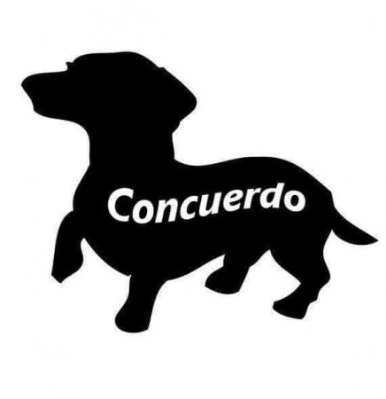 Concuerdo