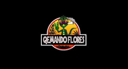 Qemando Flores rnr