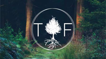 The Forest
