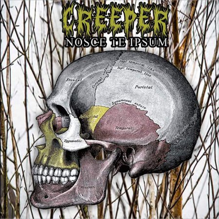 Creeper