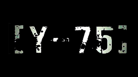 Y-75 Nu Punk