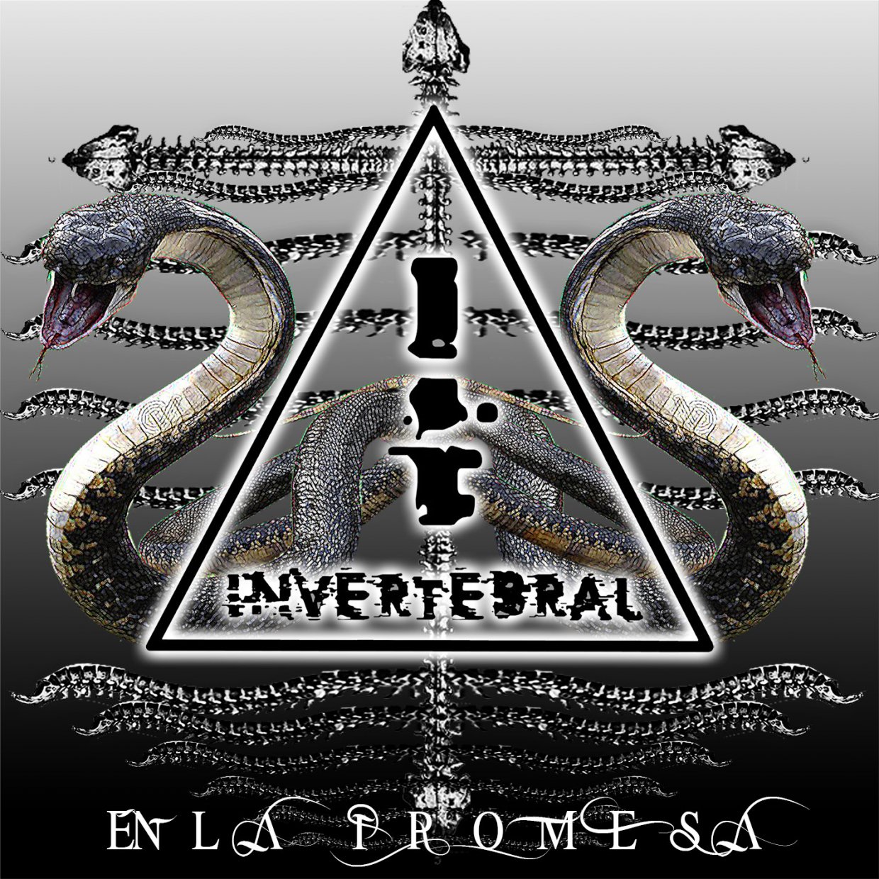 Foto de inverterbral