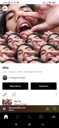 Miguel Ángel 