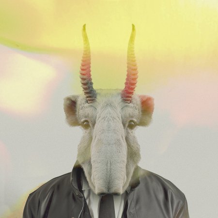 Antílope Saiga