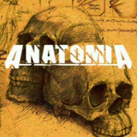 AnatomiA Rock