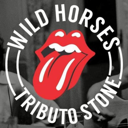 Wildhorses