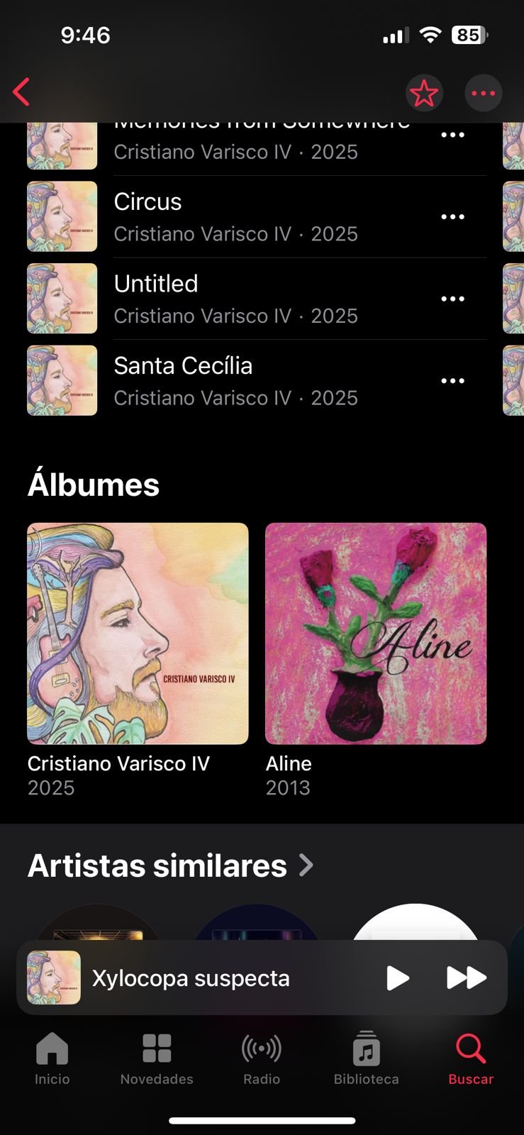 Foto del músico Cristiano Varisco 