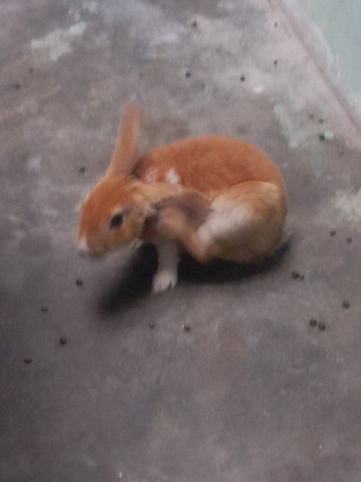 Foto del músico Matias Esteban Diaz Collantes