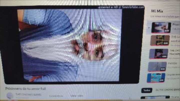 Foto del músico THE CHOYAS BAND 