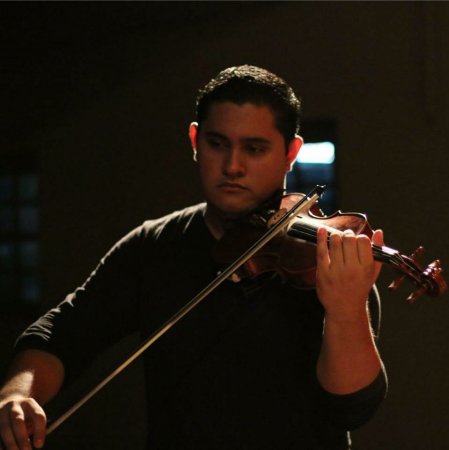 FasViolin13