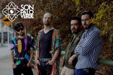 SON PALO VERDE